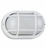Nautical Outdoor Wall Lantern White Finish, Frosted Glass cage